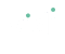 logo-vidi-blanc